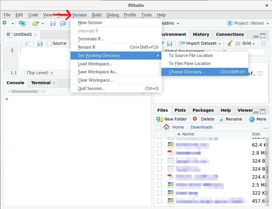 Chapter 3 First steps in RStudio | Introduction to Programming with R