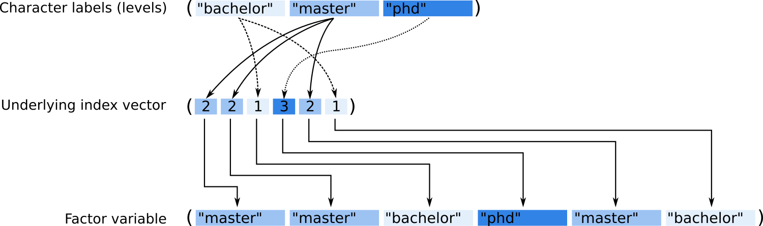 Graphical representation of the internal structure of a factor variable.